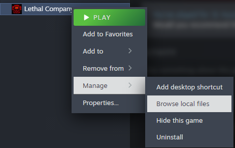How to open local files on Steam